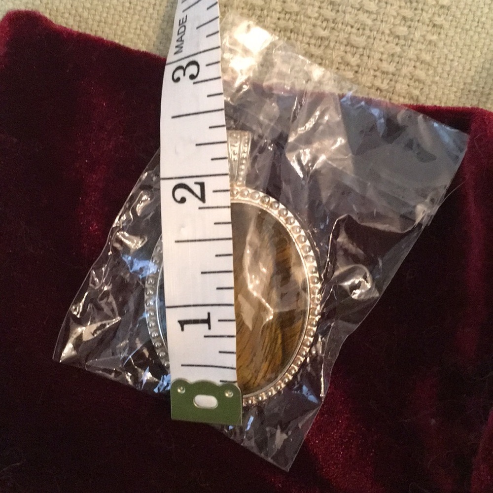 Giant Tigers eye Pendant